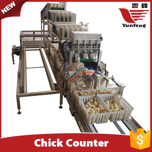 Yunfeng Chick Counting System